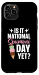 iPhone 11 Pro Italian Ice Cream Desser Lover Fresh Spumoni Ice Cream Case