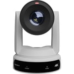 PTZOptics Link 4K SDI/HDMI/USB/IP PTZ Camera with 30x Optical Zoom (White)