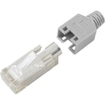 Hirose Electronic - Connectique RJ45 CAT5e Hirose TM11 RJ45C5E-GR RJ45 mâle, droit Pôle: 8P8C gris 1 pc(s) D11003