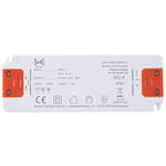 SeKi Bloc d'alimentation LED L-30-24 - 24 V - 1,25 A - 30 W - Pilote LED - Transformateur - Driver - Transformateur - Blanc