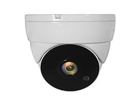 LevelOne Outdoor Dome Camera, Multi-Colour, One Size (US IMPORT)