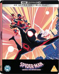 SpiderMan: Across the SpiderVerse