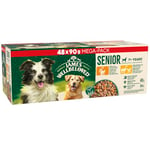 James Wellbeloved Senior Dog Food with Turkey Lamb and Chicken in Gravy Pouch 48 x 90 g