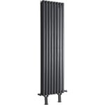 Hudson Reed - Vitality - Radiateur Vertical sur Pieds Anthracite à Double Cœur de Chauffe - 160cm x 47.2cm