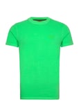 Superdry Essential Logo Emb Neon Tee Grön