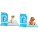 Edipets, Alaise pour Chien, Alese Chien, Alese Jetable, Tapis pour Chiot 60x90, Apprentissage de la Propreté, Anti-Fuite et Résistante, 40 Pièces & Alaise pour Chien