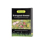 Skånefrö Blommor Bi-dragande blommor 635260