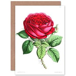 Wee Blue Coo Flower Rose Red Greeting Card With Envelope Inside Premium Quality Fleur