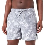 Vans Men's All Over Vanphibian Volley Shorts, Alloy, S