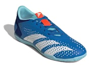 adidas Predator Accuracy.4 Indoor Bright Royal/White/Bliss Blue Men's 13.5 Mediu