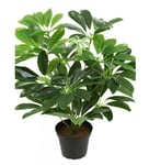 Schefflera Konstväxt 40cm