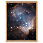 Hubble Space Telescope Image Observations Infant Stars Small Magellanic Cloud Galaxy Bright Blue Glowing Star Cluster NGC 602 Nebula Dust Pillars Art