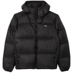 Veste Lacoste  -