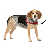 PetSafe Harnais pour chien Easy Walk