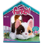 Fur Real FurReal My Minis 15 cm Kitty