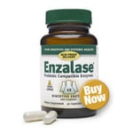 Enzalase Digestive Enzyme Supplement 50 Caps By Master Supplements