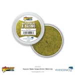 War World Scenics: Battlefields & Basing - Autumn 2mm Static Grass (180mL)