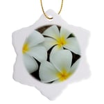 3dRose Lovely Tropical Blossoms in the South Pacific Snowflake Ornament, Multi-Colour, 3-Inch