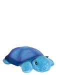 Twilight Turtle Blue Cloud B