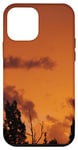 Coque pour iPhone 12 mini Sapins, nuages et ciel ombré orange doré