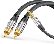 Câble Cinch Premium 1.5 M, 2X Câble Cinch Vers Jack 3,5 Mm, Câble Audio, Chaîne Hi-Fi, Aux, Noir[PHO063890]