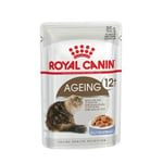 Kattmat Royal Canin FHN Ageing 12+ Kött 12 x 85 g