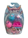 Coffret Hatchimals Alive ! Spin Master