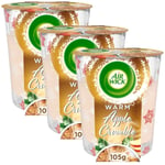 3 x Air Wick Christmas Candle Warm Apple Crumble Air Freshener Bulk Buy 3 x 105g