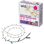 WiZ Fairy Light dekoration belysning, 160 LED-lampor