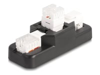 Delock - Modular Insert Holder - Keystone Lsa Set, With Clip-On Holder - Cat 6 - Rj-11, Rj-45 - Svart