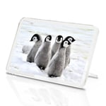 Emperor Penguin Chicks Classic Fridge Magnet - Antarctica Snow Ice Gift #13280