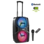 Large Portable Bluetooth Speaker with Microphone and Lights - FT208LED