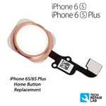 NEW iPhone 6S Complete Home Button Flex Cable Replacement with Gasket Rose Gold