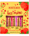 Bee Mine Lip Balm Gift Set