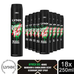 Lynx XXL Deodorant Bodyspray Africa 48H The G.O.A.T. of Fragrance 250ml, 18pk