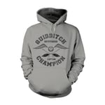 Harry Potter Quidditch Champion Hoodie Grey XL