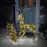 Light up Reindeer Gold Stag & Doe Set Christmas Garden LED Decoration with Timer