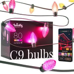 Twinkly C9 Bulbs 80 LED RGB, Mappable LED Bulbs for Outdoor and Indoor, Smart Multicolor LED Lights, Compatible with Alexa and Google Home, Gaming Lights, IP44, App Controlled, Green Wire, 24.4m