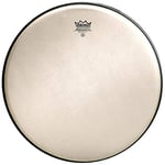 Remo Renaissance Ambassador Drum Head 13in