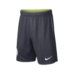 Nike Jr Manchester City Stadium Short Grafit 137 - 147 Cm/m