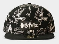 Casquette Homme Visière Harry Potter Graphique Montable Difuzed Noir Casquette