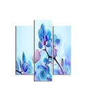 Homemania Tableau Fleurs - 3 Pieces - Nature - pour Salon, Chambre - Multicouleur en MDF, 57 X 0,3 X 60cm - HM203MDF194