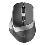 Souris sans Fil Silencieuse Cool Ergonomique Noir-Argent