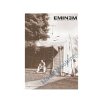 Drapeau Eminem - The Marshall Mathers - ref dr1emin