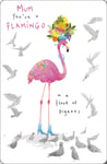 You're A Flamingo Mum Happy Mother's Day Card Chick Chat Greeting Cards