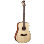 SD50S Acoustic Guitar Dreadnought