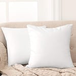 Deconovo Lot de 2 Housse de Coussin 65x65 CM en Velours Taie d'oreiller Blanc Housse de Coussin pour Exterieur