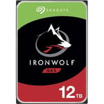 Seagate Ironwolf 12TB NAS