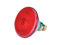 Par38 Ir 100W E27 240V Red 1Ct/12