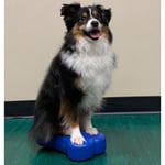 FitPAWS balanceplatform hund 2 stk. Mini K9FITbone 29x16,5x6 cm blå